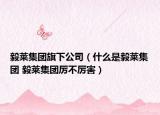 毅萊集團旗下公司（什么是毅萊集團 毅萊集團厲不厲害）