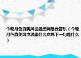 今晚月色真美風(fēng)也溫柔網(wǎng)易云音樂(lè)（今晚月色真美風(fēng)也溫柔什么意思下一句是什么）