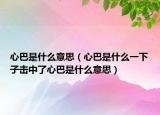 心巴是什么意思（心巴是什么一下子擊中了心巴是什么意思）