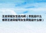 王者榮耀女生去內(nèi)褲（農(nóng)批是什么意思王者榮耀罵女生農(nóng)批是什么梗）