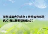 蠶絲被最大的缺點（蠶絲被有哪些優(yōu)點 蠶絲被有哪些缺點）
