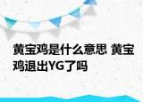 黃寶雞是什么意思 黃寶雞退出YG了嗎