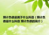 預計負債是屬于什么科目（預計負債是什么科目 預計負債的簡介）