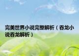 完美世界小說完整解析（吞龍小說吞龍解析）