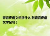 青春疼痛文學(xué)指什么 附青春疼痛文學(xué)金句）