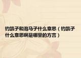 釣凱子和泡馬子什么意思（釣凱子什么意思啊是哪里的方言）