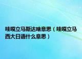 哇嘎立馬斯達(dá)啥意思（哇嘎立馬西大日語什么意思）