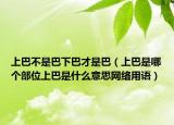 上巴不是巴下巴才是巴（上巴是哪個(gè)部位上巴是什么意思網(wǎng)絡(luò)用語）
