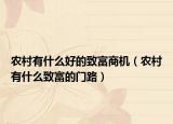 農(nóng)村有什么好的致富商機（農(nóng)村有什么致富的門路）