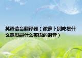 英語諧音翻譯器（酸蘿卜別吃是什么意思是什么英語的諧音）