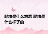 腿精是什么意思 腿精是什么樣子的