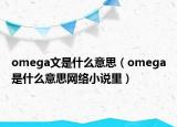 omega文是什么意思（omega是什么意思網(wǎng)絡小說里）