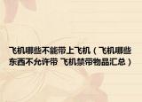 飛機(jī)哪些不能帶上飛機(jī)（飛機(jī)哪些東西不允許帶 飛機(jī)禁帶物品匯總）