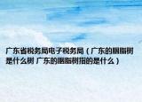 廣東省稅務(wù)局電子稅務(wù)局（廣東的胭脂樹是什么樹 廣東的胭脂樹指的是什么）