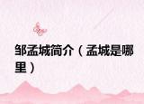 鄒孟城簡(jiǎn)介（孟城是哪里）