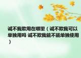 誠不我欺用在哪里（誠不欺我可以單獨用嗎 誠不欺我能不能單獨使用）