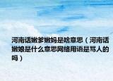 河南話嫩爹嫩媽是啥意思（河南話嫩娘是什么意思網(wǎng)絡(luò)用語是罵人的嗎）