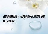 c語(yǔ)言是啥!（c語(yǔ)言什么意思 c語(yǔ)言的簡(jiǎn)介）