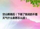空山新雨后（下雨了我說的不是天氣什么意思怎么回）