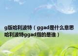 g版哈利波特（ggad是什么意思哈利波特ggad指的是誰(shuí)）