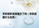 羊奶很多渣渣是壞了嗎（羊奶渣是什么東西）