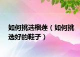如何挑選榴蓮（如何挑選好的鞋子）