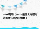 nmsl是啥（nmsl是什么網(wǎng)絡(luò)用語是什么意思的縮寫）