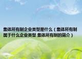 集體所有制企業(yè)類型是什么（集體所有制屬于什么企業(yè)類型 集體所有制的簡介）