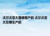 沃爾沃亞太是哪里產(chǎn)的 沃爾沃亞太在哪生產(chǎn)的