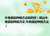 牛角椒的種植方法和時間（陽臺牛角椒的種植方法 牛角椒的種植方法）