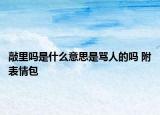 敲里嗎是什么意思是罵人的嗎 附表情包