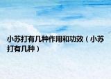 小蘇打有幾種作用和功效（小蘇打有幾種）