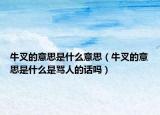 牛叉的意思是什么意思（牛叉的意思是什么是罵人的話嗎）