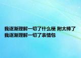 我逐漸理解一切了什么梗 附太棒了我逐漸理解一切了表情包