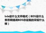 bds是什么文件格式（BDS是什么意思網(wǎng)絡(luò)詞BDS你是我的榮耀什么梗）