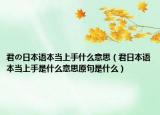 君の日本語(yǔ)本當(dāng)上手什么意思（君日本語(yǔ)本當(dāng)上手是什么意思原句是什么）