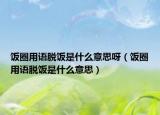 飯圈用語脫飯是什么意思呀（飯圈用語脫飯是什么意思）