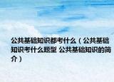 公共基礎(chǔ)知識都考什么（公共基礎(chǔ)知識考什么題型 公共基礎(chǔ)知識的簡介）