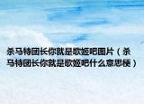 殺馬特團(tuán)長(zhǎng)你就是歌姬吧圖片（殺馬特團(tuán)長(zhǎng)你就是歌姬吧什么意思梗）