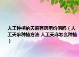 人工種植的天麻有藥用價值嗎（人工天麻種植方法 人工天麻怎么種植）