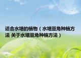 適合水培的植物（水培豆角種植方法 關(guān)于水培豆角種植方法）