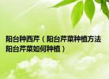 陽臺(tái)種西芹（陽臺(tái)芹菜種植方法 陽臺(tái)芹菜如何種植）