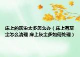床上的灰塵太多怎么辦（床上有灰塵怎么清理 床上灰塵多如何處理）