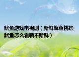 魷魚(yú)游戲電視?。ㄐ迈r魷魚(yú)挑選 魷魚(yú)怎么看新不新鮮）