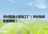 農(nóng)村致富小型加工廠（農(nóng)村如何致富賺錢(qián)）