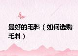 最好的毛料（如何選購毛料）