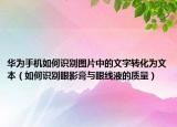 華為手機(jī)如何識別圖片中的文字轉(zhuǎn)化為文本（如何識別眼影膏與眼線液的質(zhì)量）