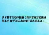 武術(shù)基本功動作圖解（新手怎樣才能練好基本功 新手怎樣才能練好武術(shù)基本功）
