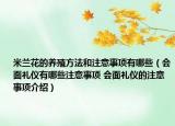 米蘭花的養(yǎng)殖方法和注意事項有哪些（會面禮儀有哪些注意事項 會面禮儀的注意事項介紹）