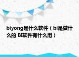biyong是什么軟件（bi是做什么的 BI軟件有什么用）